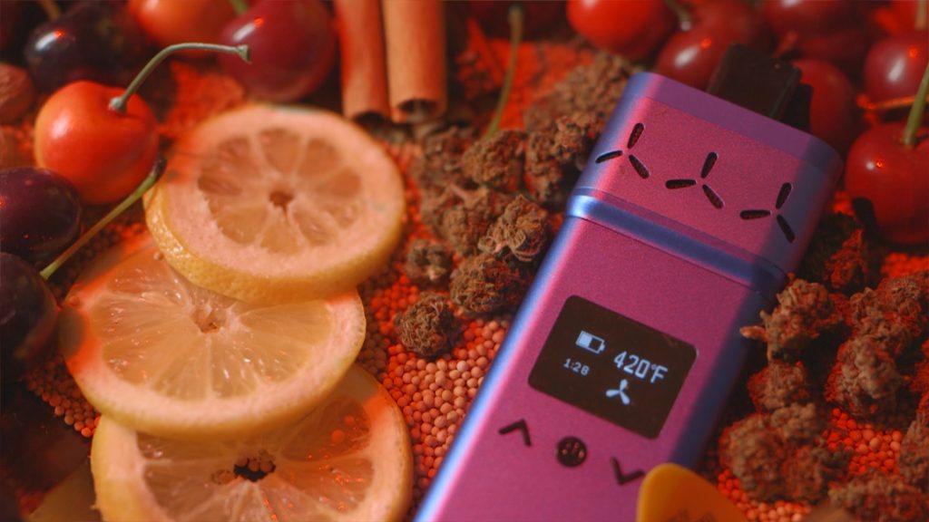 dry herb vaporizer